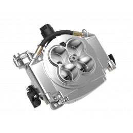 Kit Iniezione Elettronica Holley | American Autoparts