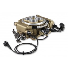 Kit Iniezione Elettronica Holley | American Autoparts