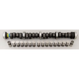 Albero a Camme  e Lifters | American Autoparts
